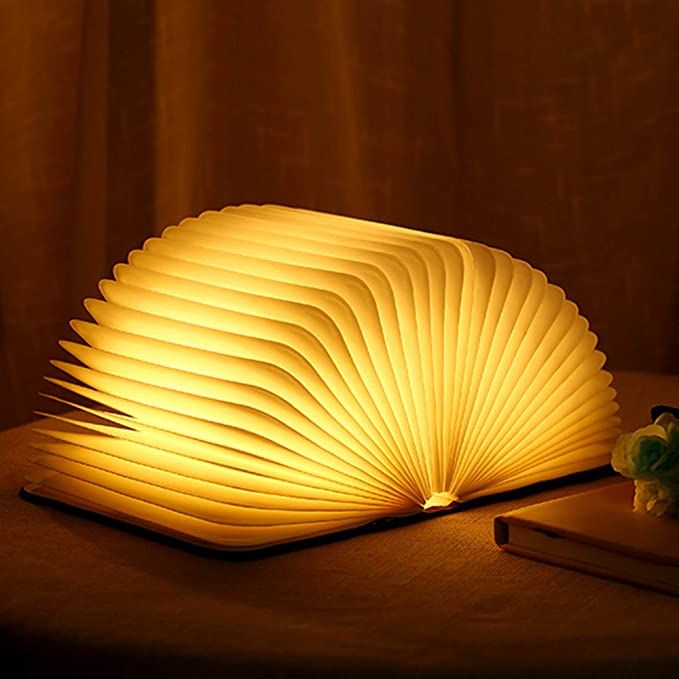 LED Book Lamp